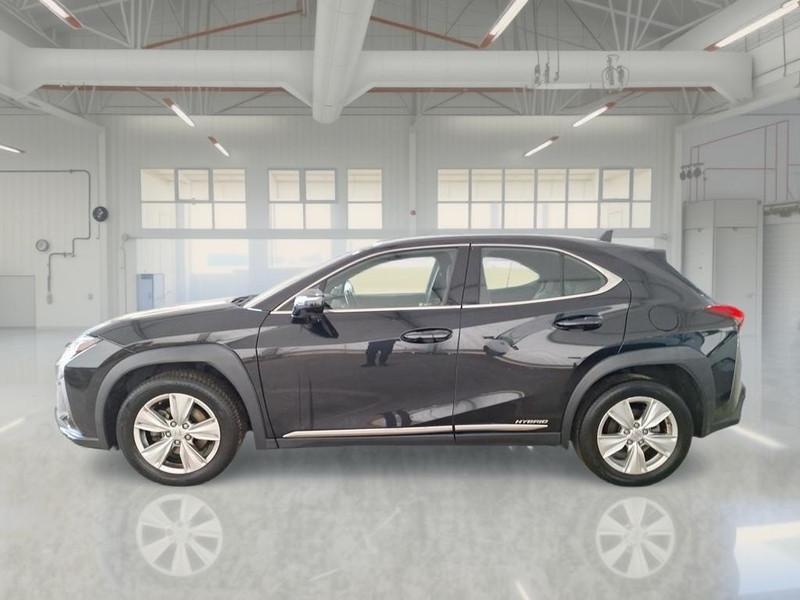 LEXUS UX 250h Hybrid Business 2WD