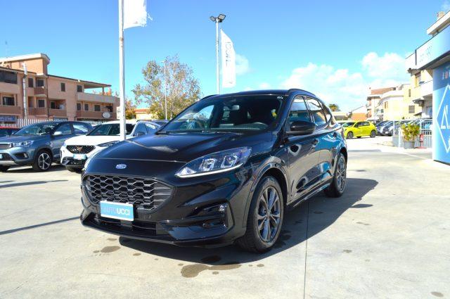 FORD Kuga 1.5 EcoBlue 120 CV 2WD ST-Line Automatica