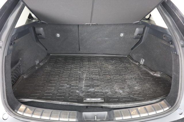 LEXUS Other NX NX Hybrid 4WD Premium +