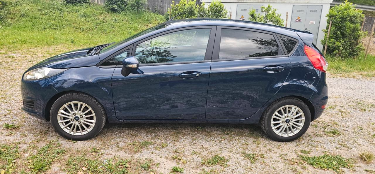 Ford Fiesta 1.5 TDCi 75CV 5 porte Business