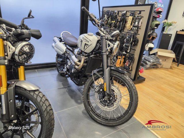 TRIUMPH Scrambler 1200 (MY 24)