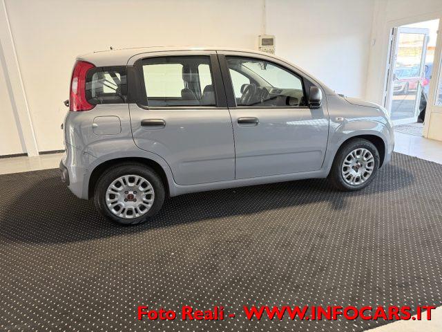 FIAT Panda Hybrid 1.0 FireFly 70 cv - PROMO