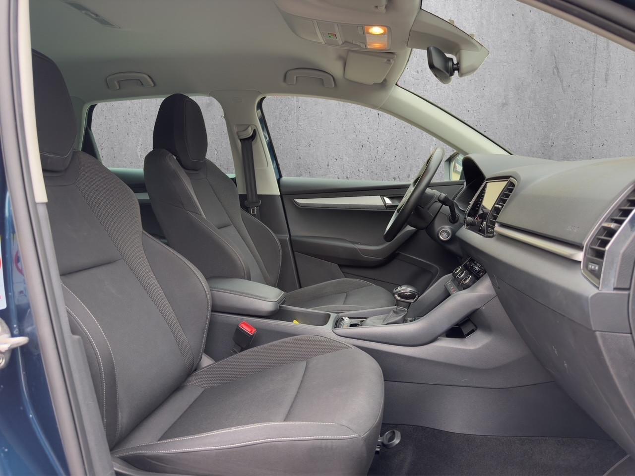 Skoda Karoq 2.0 TDI EVO SCR 115 CV DSG Executive