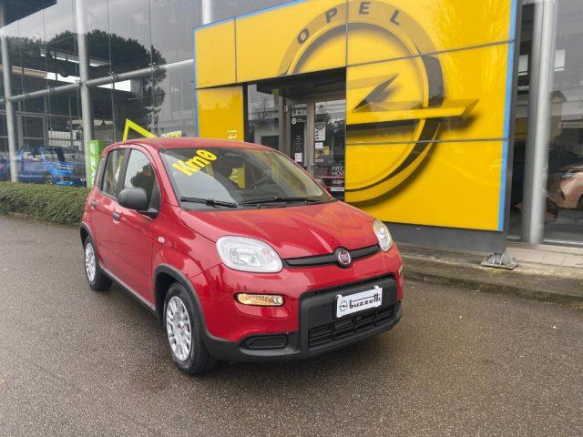 FIAT Panda 1.0 FireFly S&S Hybrid Pandina