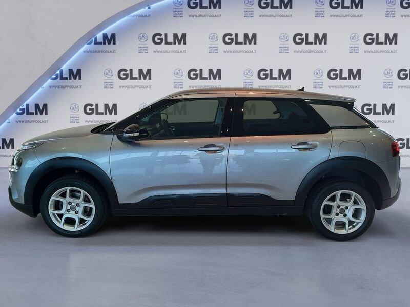 Citroën C4 Cactus BlueHDi 100 S&S Shine