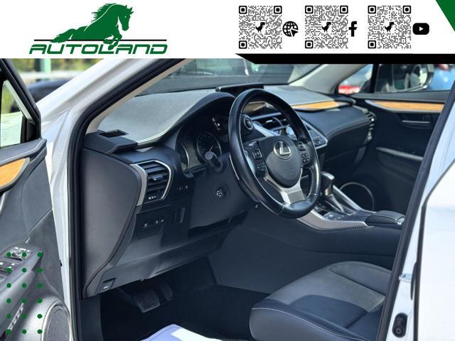 LEXUS NX 300 Hybrid 4WD Executive 155 CV