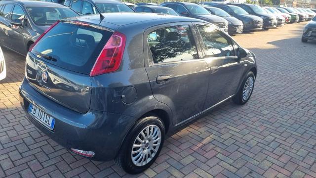 FIAT Punto 1.4 8V 5 porte Easypower Young