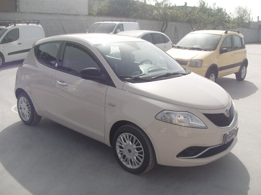 Lancia Ypsilon 1.2 69 CV GPL Ecochic Gold - 2016