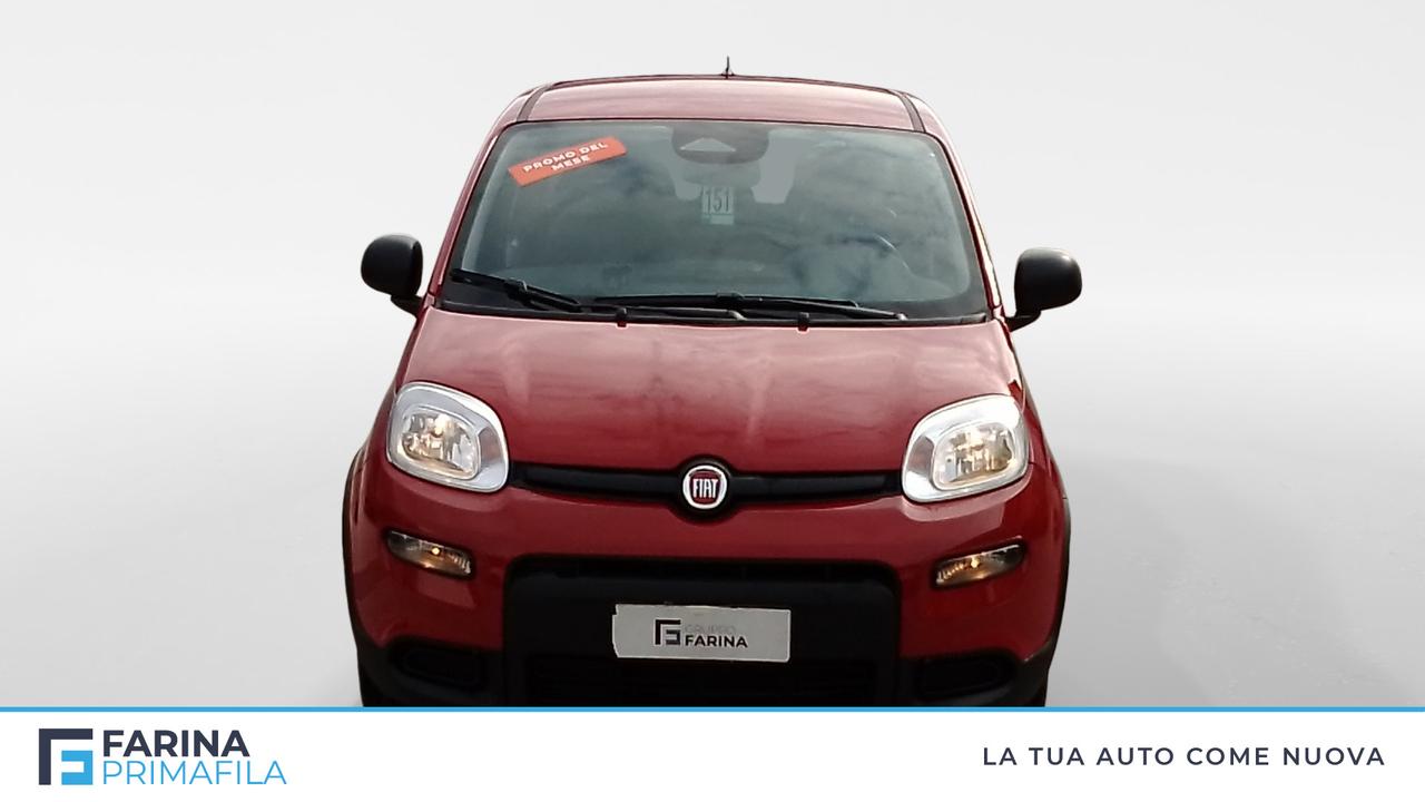 FIAT Panda Serie 7 1.0 70cv HybridPanda