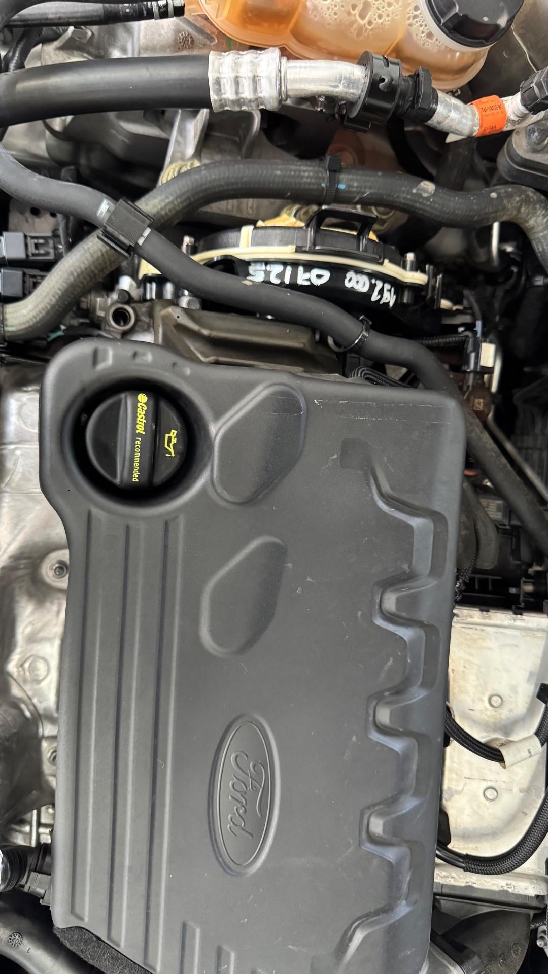 Ford Focus 1.5 EcoBlue 120 CV SW Business-2021