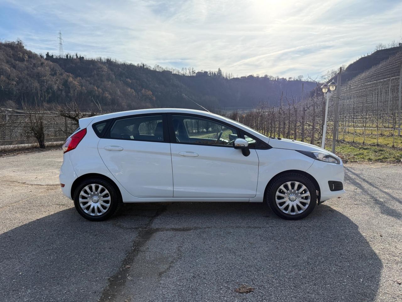Ford Fiesta 1.2 60CV 5 porte Titanium