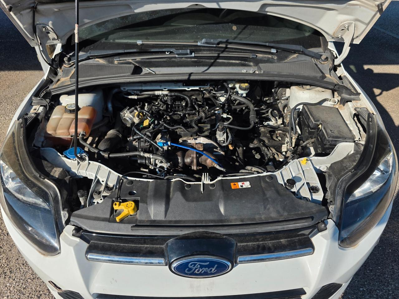 Ford Focus 1.0 EcoBoost 125 CV Start&Stop Titanium LEGGERE BENE EXPORT O RICAMBI