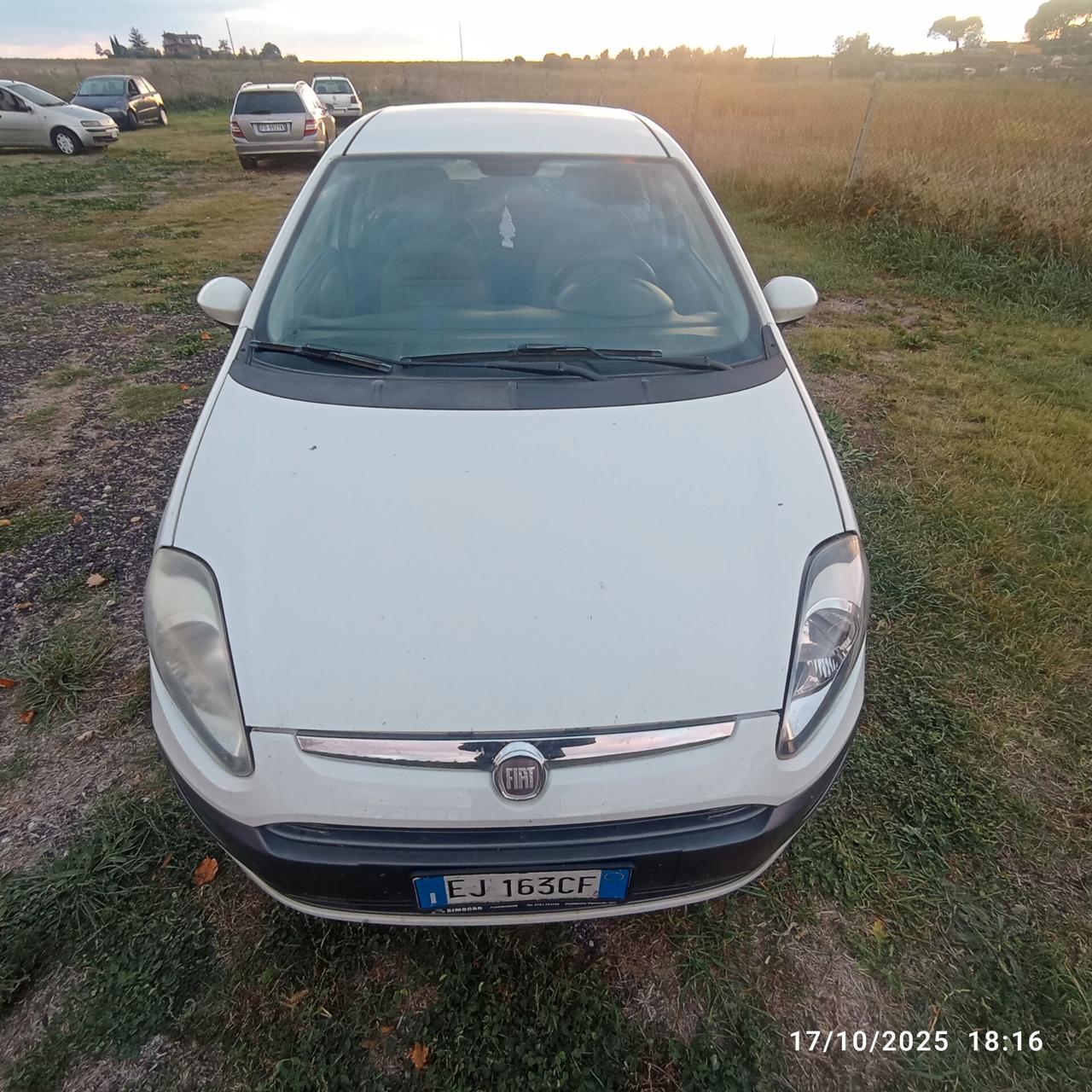 Fiat Punto Evo 1.3 Mjt 75 CV DPF 5 porte S&S Active
