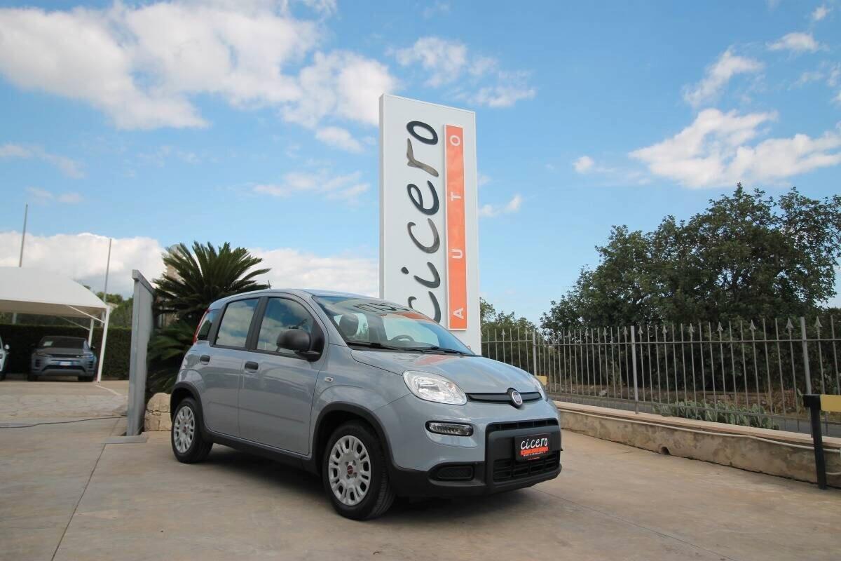 Fiat Panda 1.0 Hybrid City Life 70|36.900km|2023