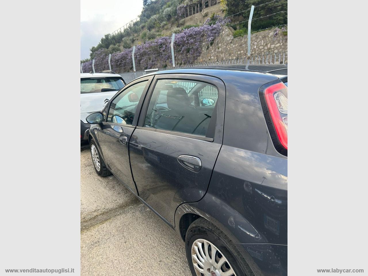 FIAT Punto 1.3 MJT II S&S 85 CV 5p.ECO Lounge