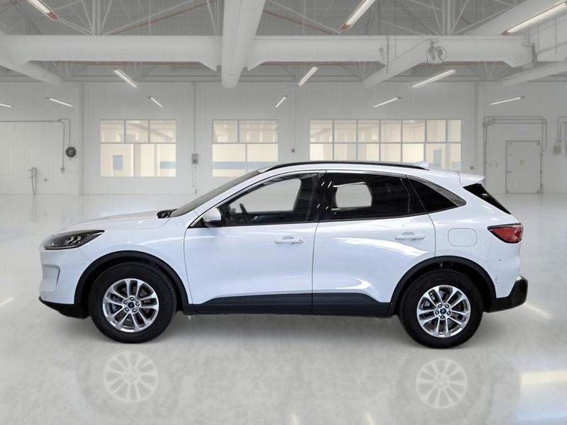 FORD KUGA 1.5 EcoBlue 120CV 2WD Titanium Business Auto