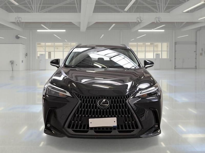 LEXUS NX Hybrid Business 4WD my22