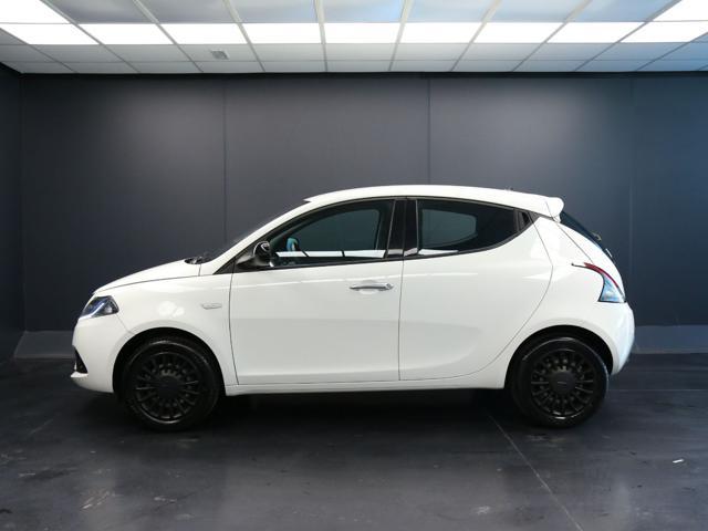 LANCIA Ypsilon 1.0 FireFly 5 porte S&S Hybrid Ecochic Silver