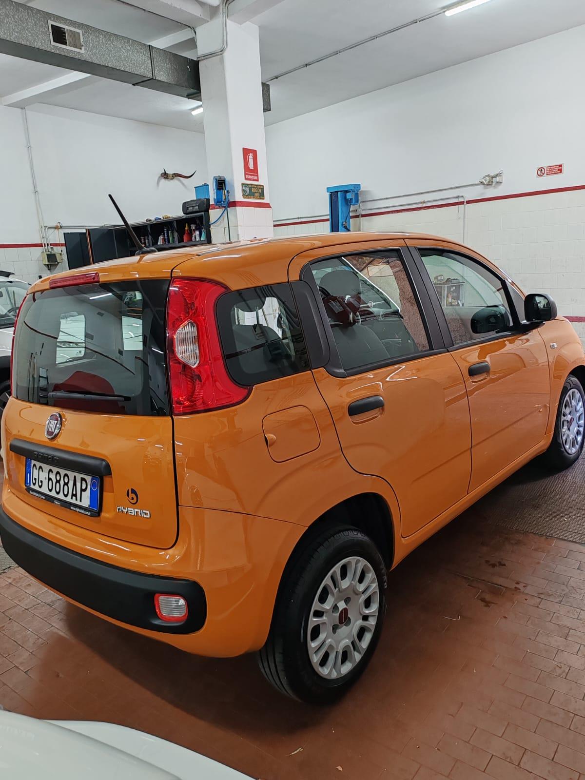 Fiat Panda 1.0 firefly hybrid s&s 70cv