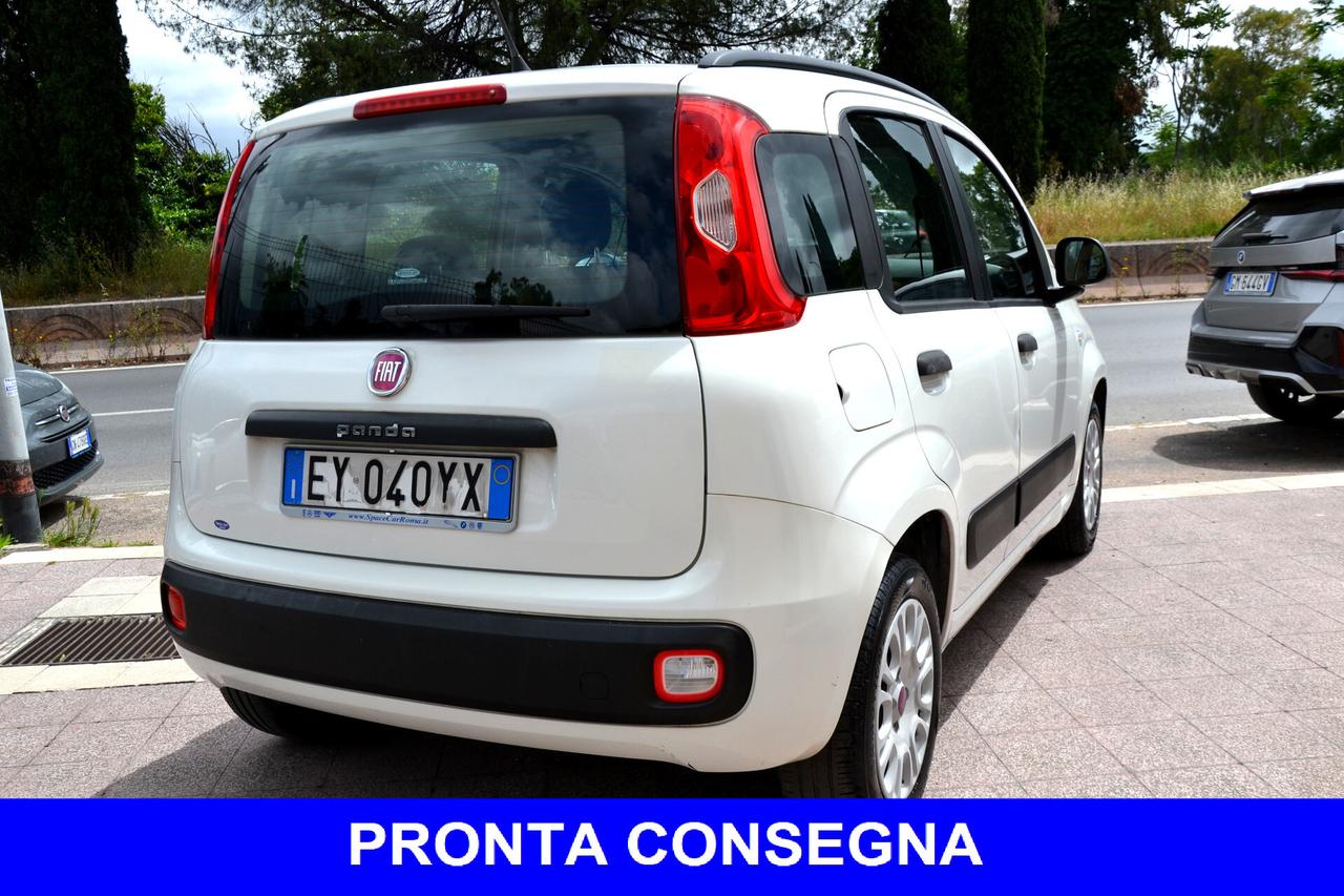 Fiat Panda 1.2 EASY 69CV **OK NEOPATENTATI**PREZZO VERO**