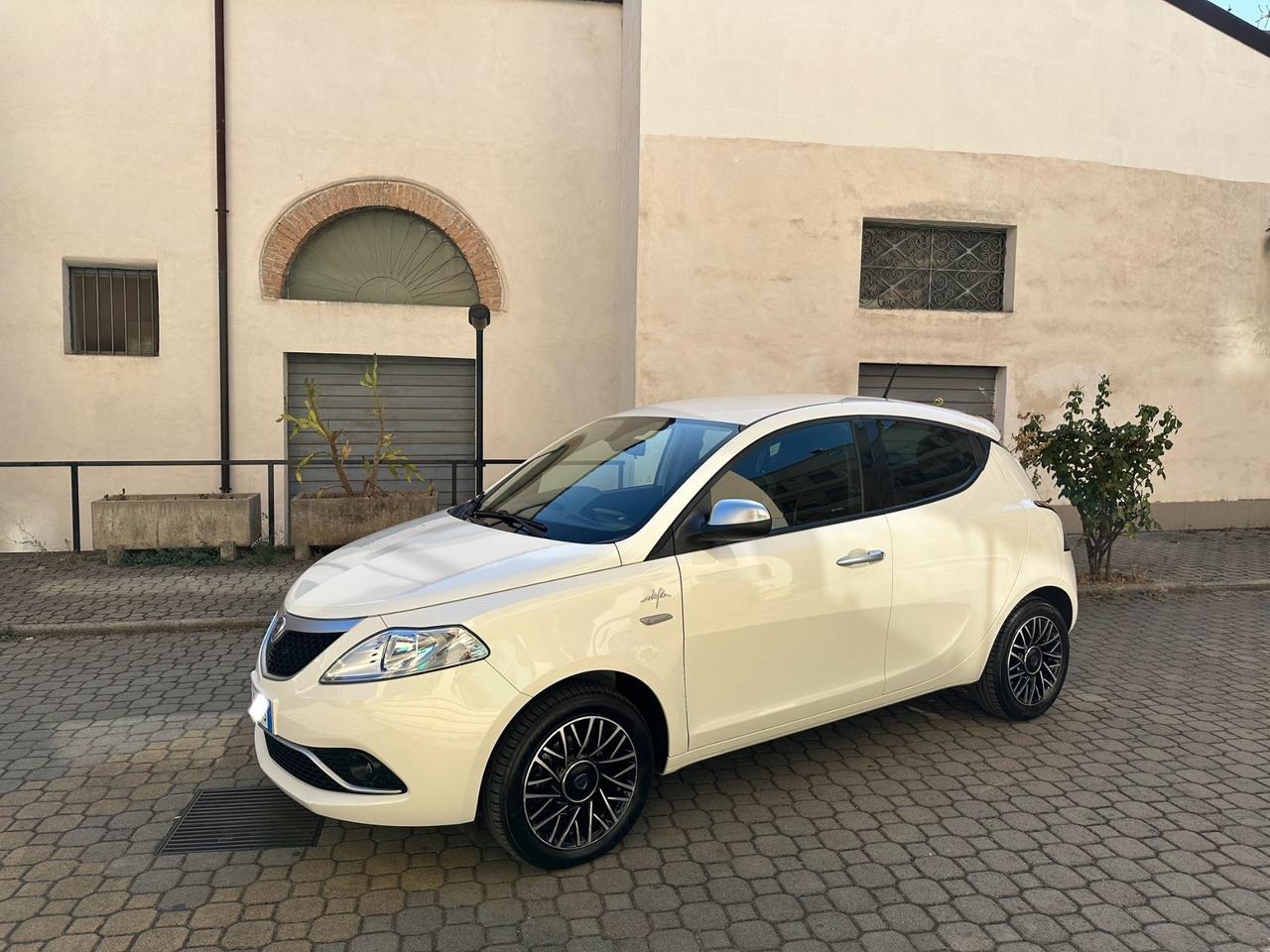 Lancia Ypsilon 1.3 MJT 16V 95 CV 5 porte S&S Mya