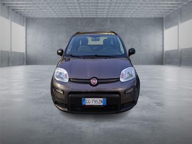 FIAT Panda 3ª serie 1.0 FireFly S&S Hybrid
