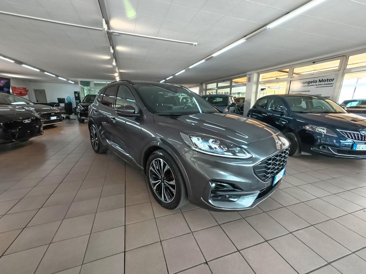 Ford Kuga 2.0 EcoBlue 120 CV aut. 2WD ST-Line X