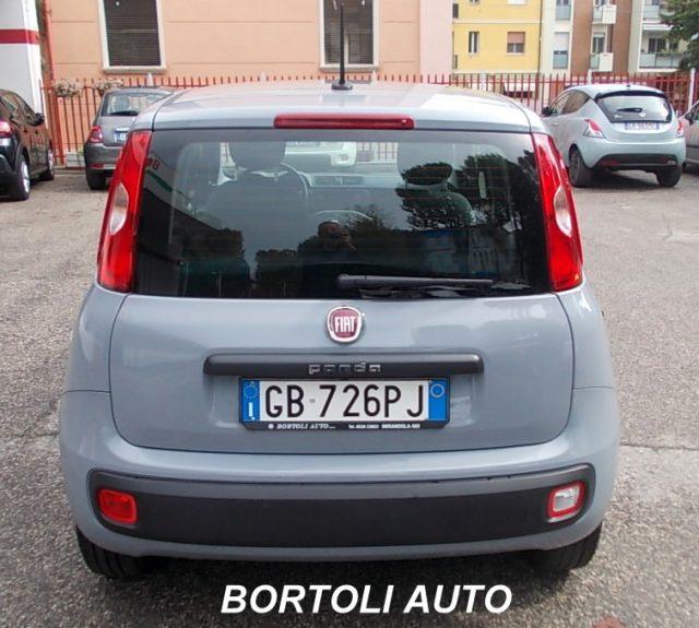 FIAT Panda 1.2 35.000 KM EASY IDONEA PER NEOPATENTATI