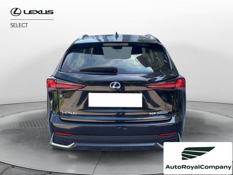Lexus NX NX Hybrid Business VENDUTA
