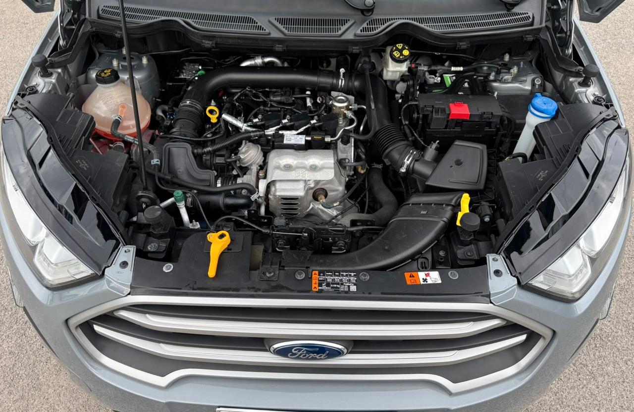 Ford EcoSport 1.0 EcoBoost 100 CV Business