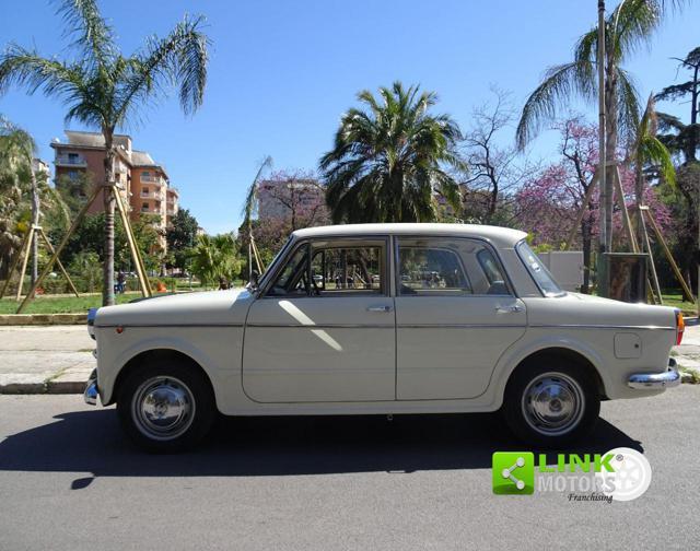 FIAT 1100 D Special