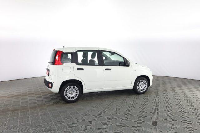 FIAT Panda Pandina 1.0 FireFly 65 CV Hybrid Icon