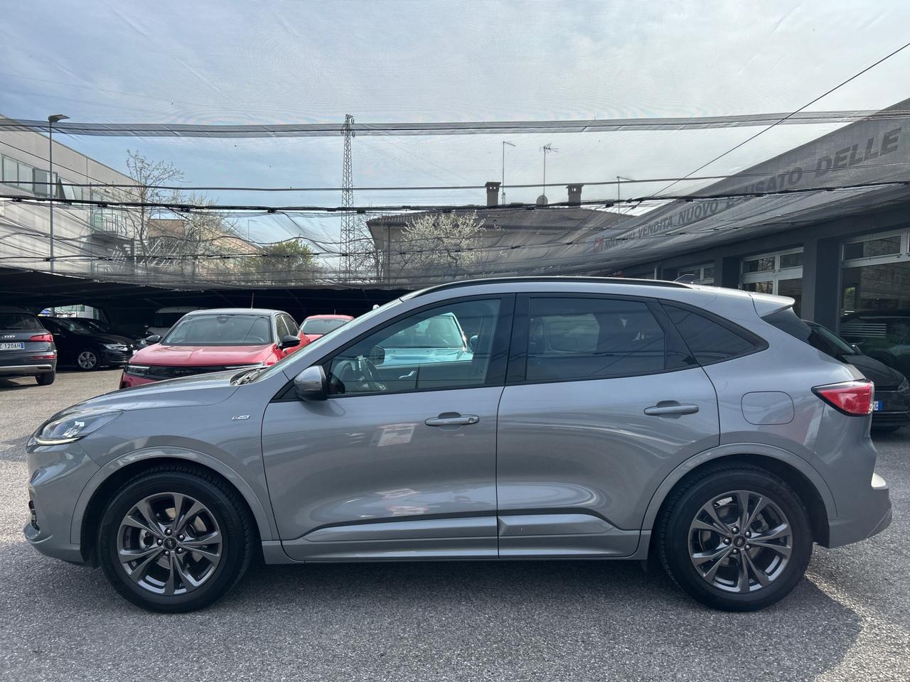 Ford Kuga 1.5 ecoblue ST-Line 2wd 120cv auto