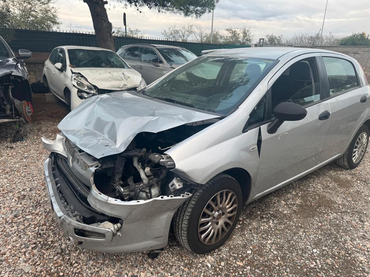 Fiat Punto 1.2 8V 5 porte Lounge