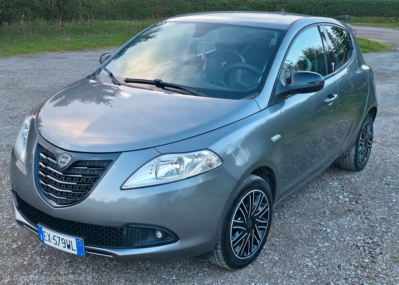 Lancia Ypsilon 1.2 69 CV 5 porte Platinum