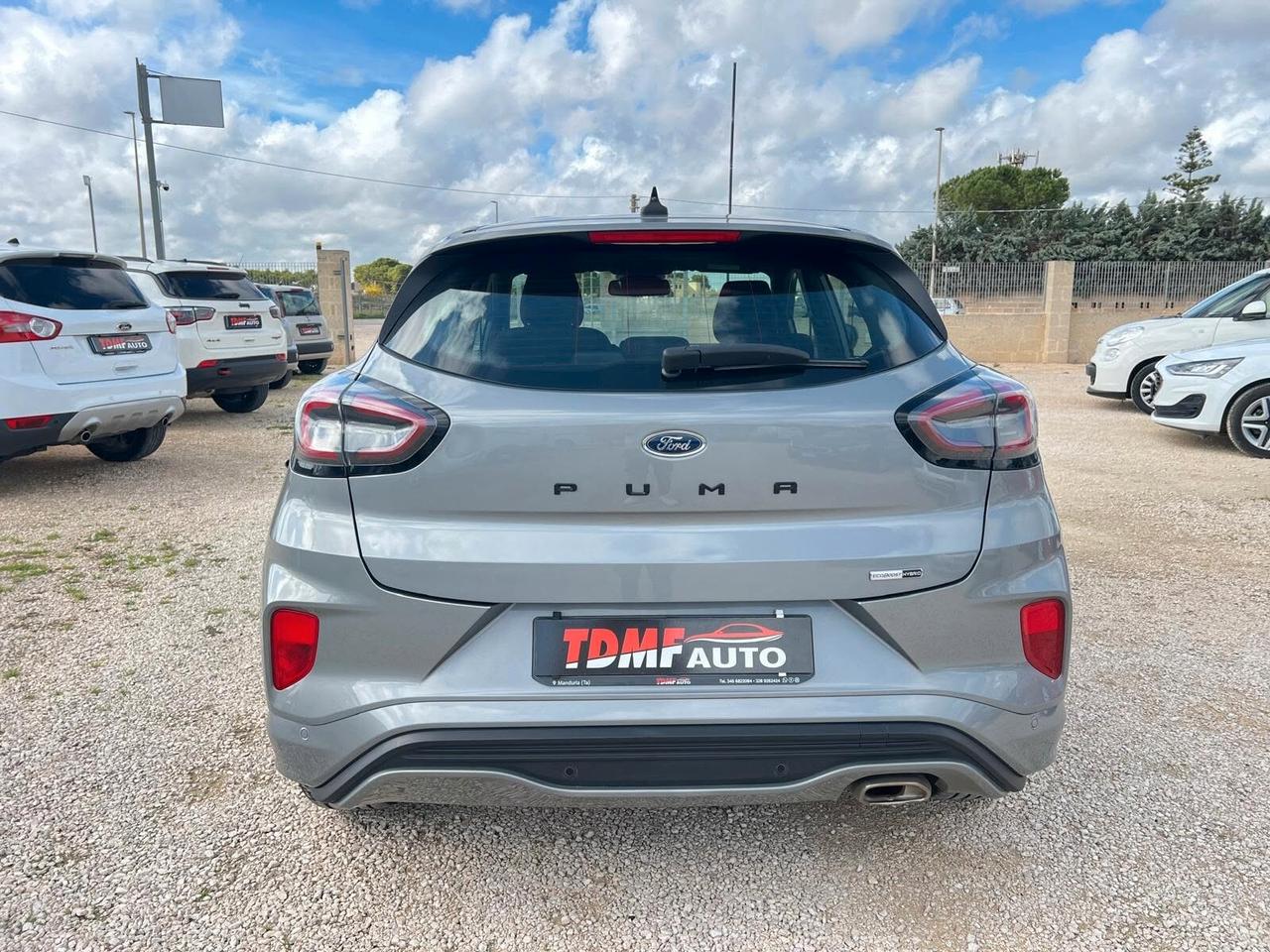 Ford Puma 1000 Ecoboost STLINE 125 cv