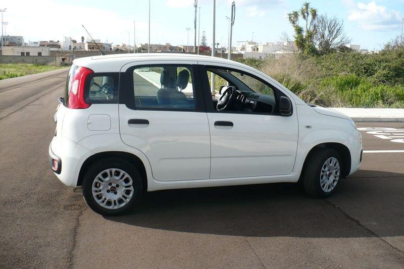 FIAT Panda Panda 1.2 Easy