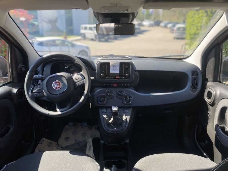 FIAT Pandina PANDA MY26 1.0 65CV HYBRID ICON