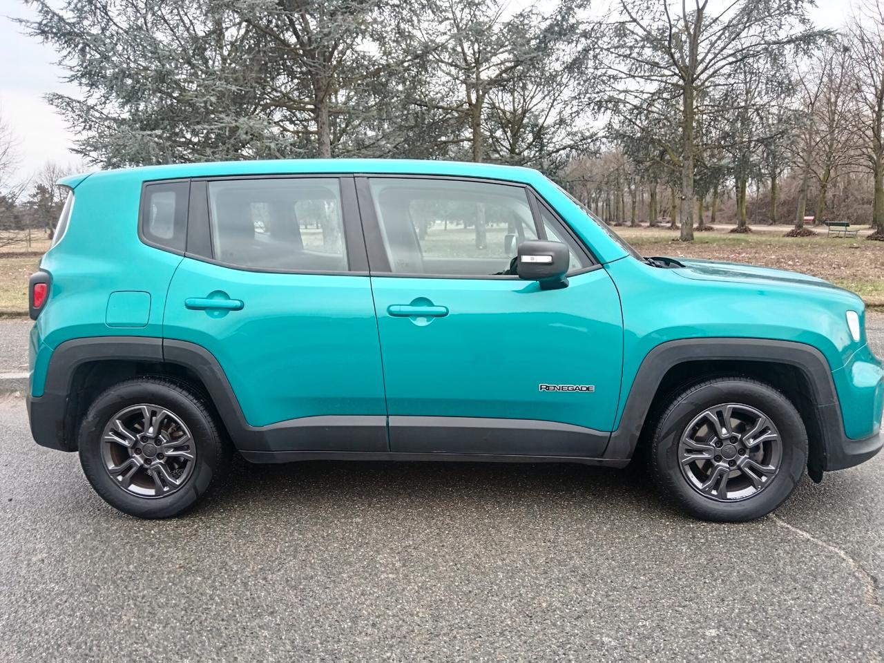 Jeep Renegade 1.6 Mjt 130 CV Longitude