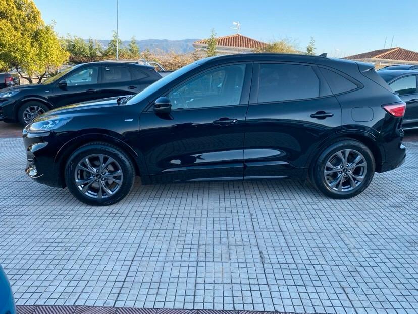 Ford Kuga 1.5 EcoBlue 120 CV aut. 2WD ST-Line X