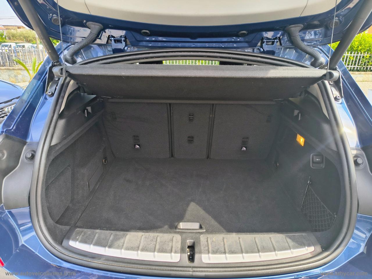 BMW X2 sDrive16d Business-X
