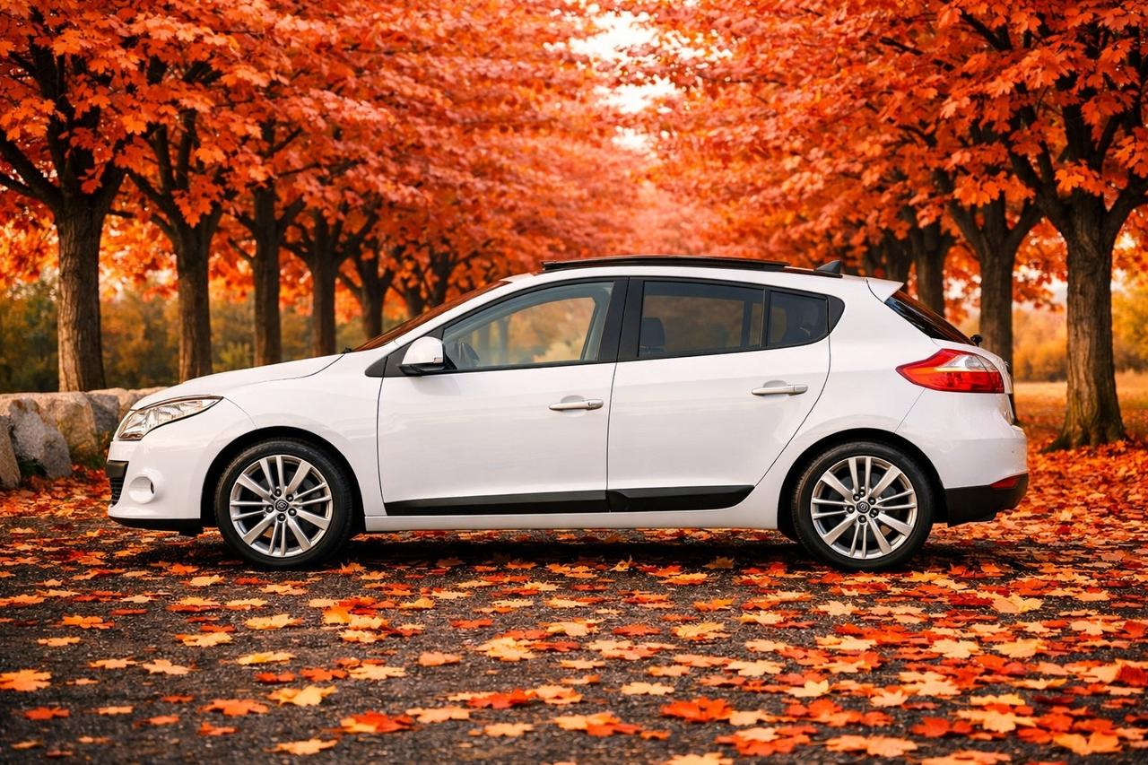 Renault Megane Mégane 1.5 DCI