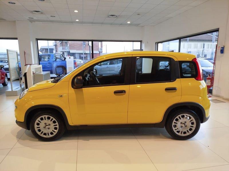 FIAT Panda 1.0 FireFly S&S Hybrid Pandina