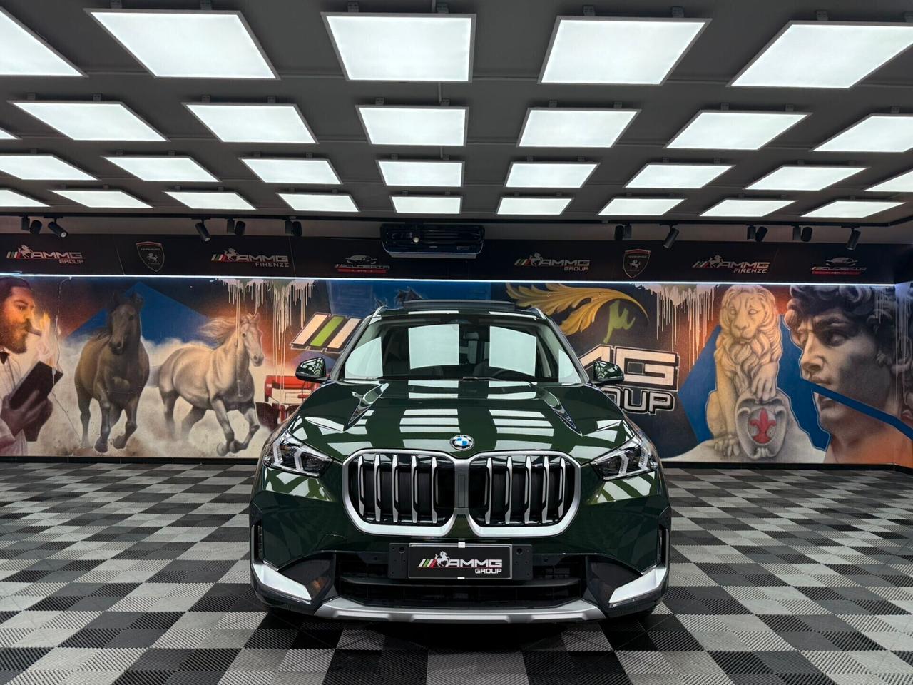 Bmw X1 sDrive 18d Msport Pro (914)