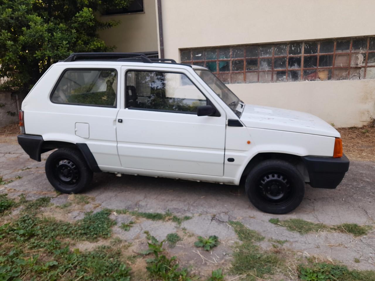 Fiat Panda 1100 i.e. cat Young