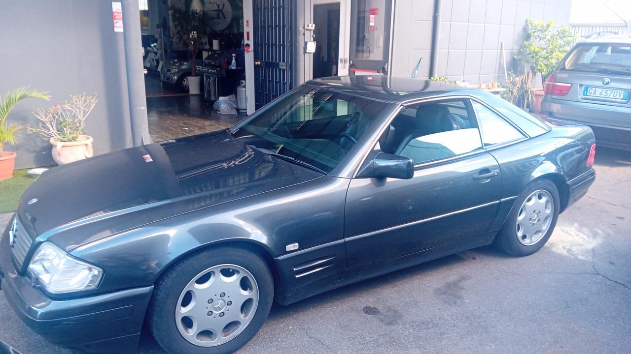 Mercedes-benz SL 300 SL-24 cat