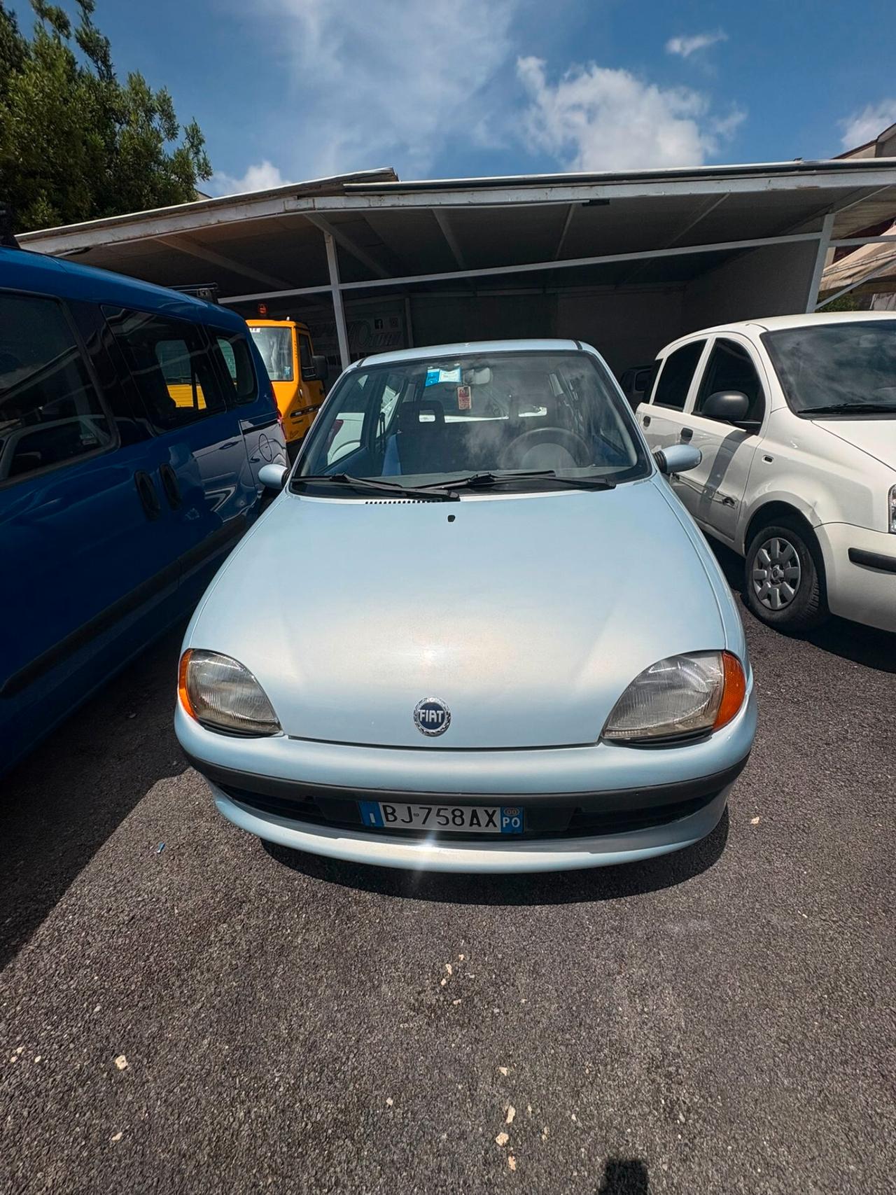 Fiat Seicento 900i cat Young