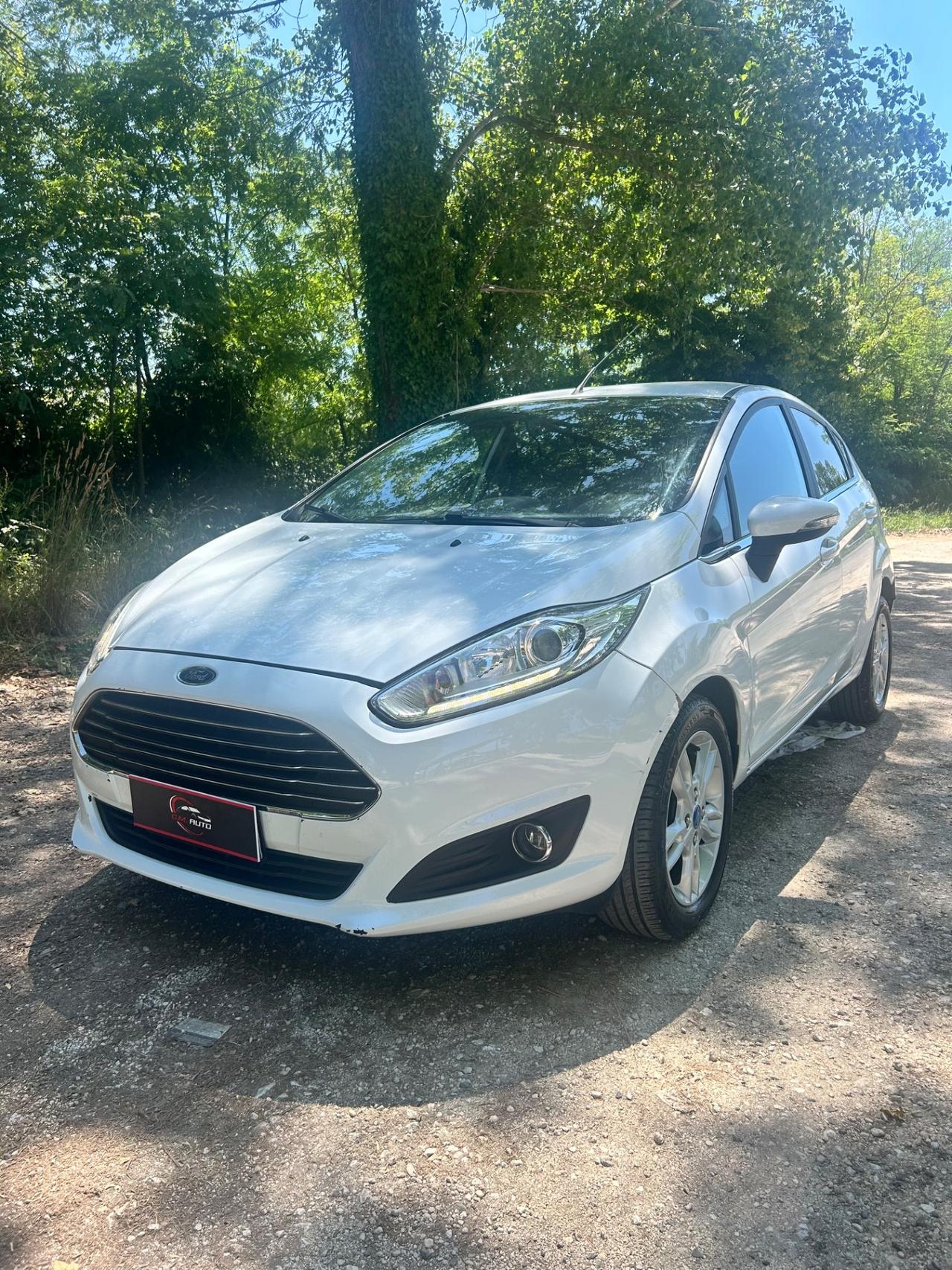 Ford Fiesta 1.4 5 porte Bz.- GPL Black & White Edition