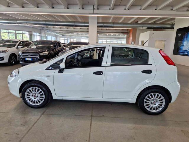 FIAT Punto 1.2 8V 5 porte Young