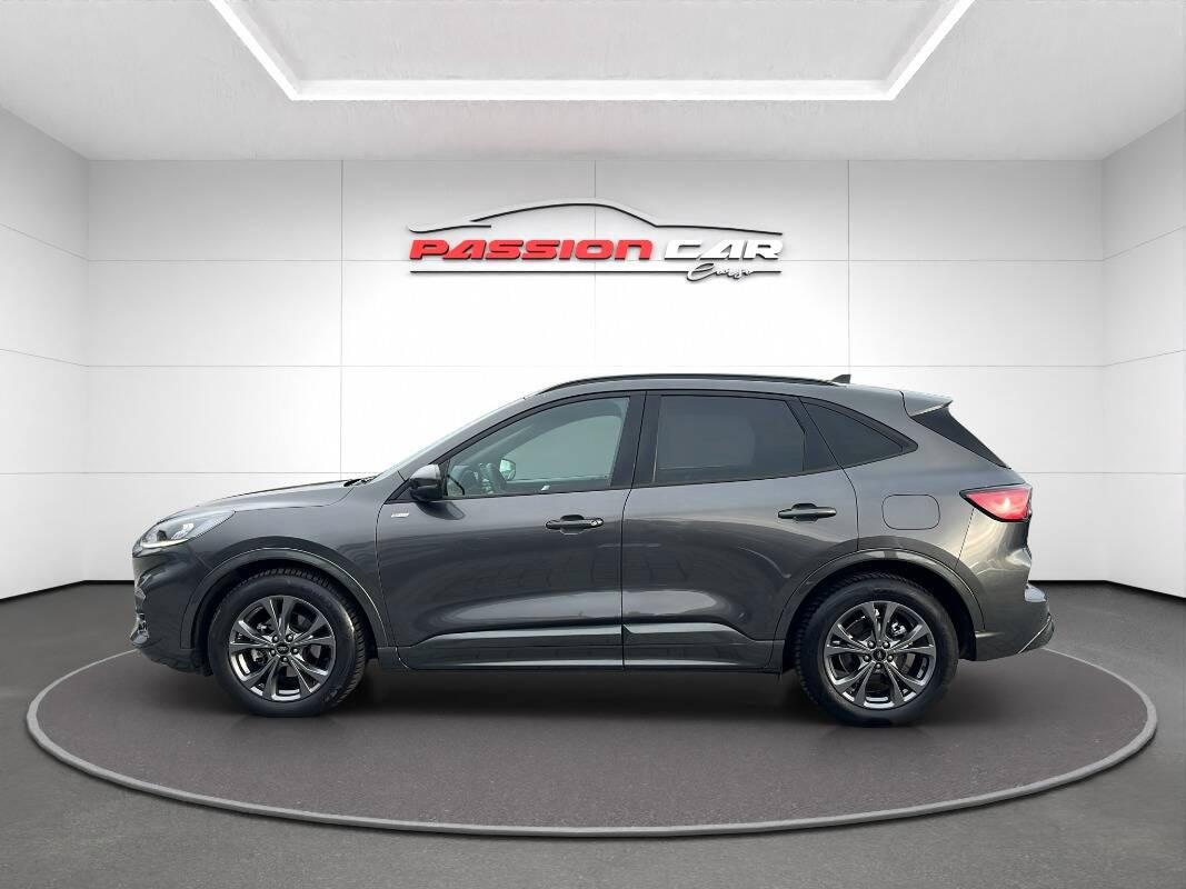 Ford Kuga 2.0 ecoblue ST-Line 2wd 120cv auto